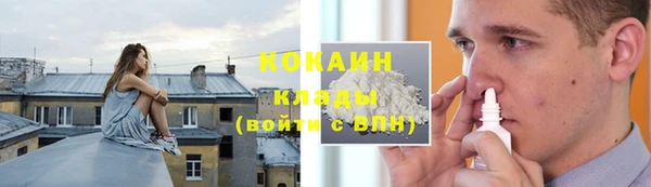 хмурый Алзамай